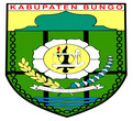 Kabupaten Bungo